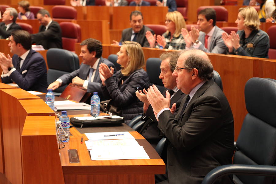 Pleno en las Cortes de Castilla y León