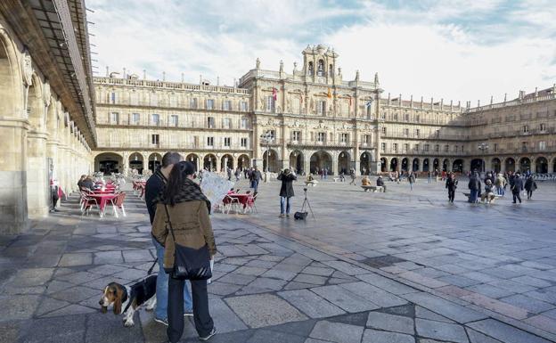 Plaza Mayor de Salamanca, donde se produjo el intento de robo.