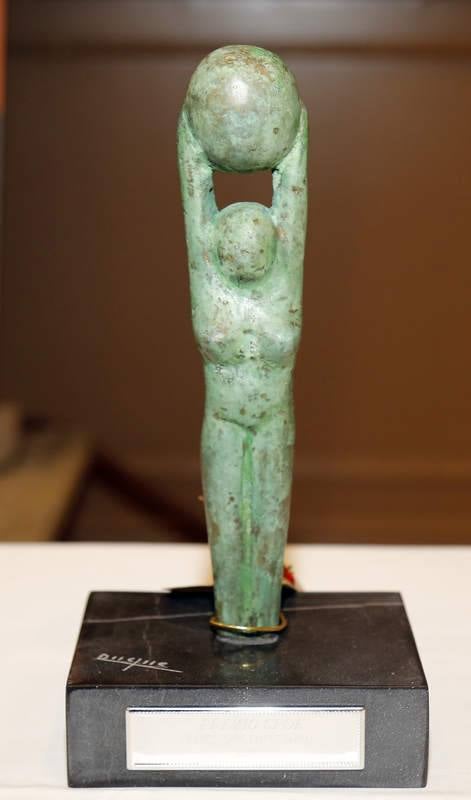 El presidente del Grupo Siro recibe el premio CPOE en Palencia