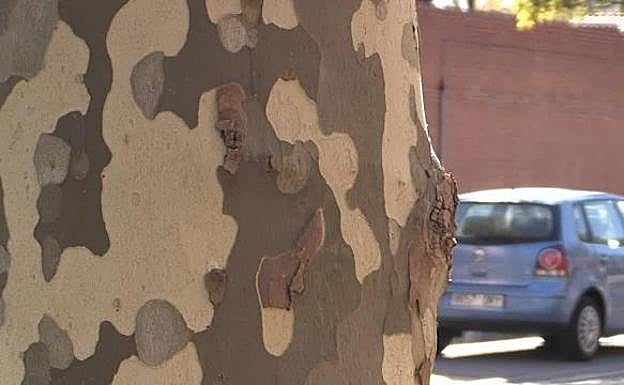Adivina de qué calle de Valladolid se trata