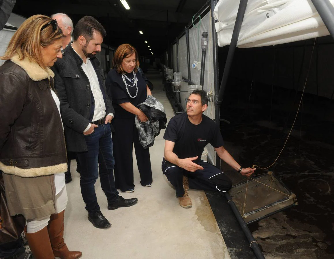 El secretario regional del PSOE acompañó a su homóloga en la provincia a una visita a las instalaciones de la planta de producción de langostinos asentada en la localidad