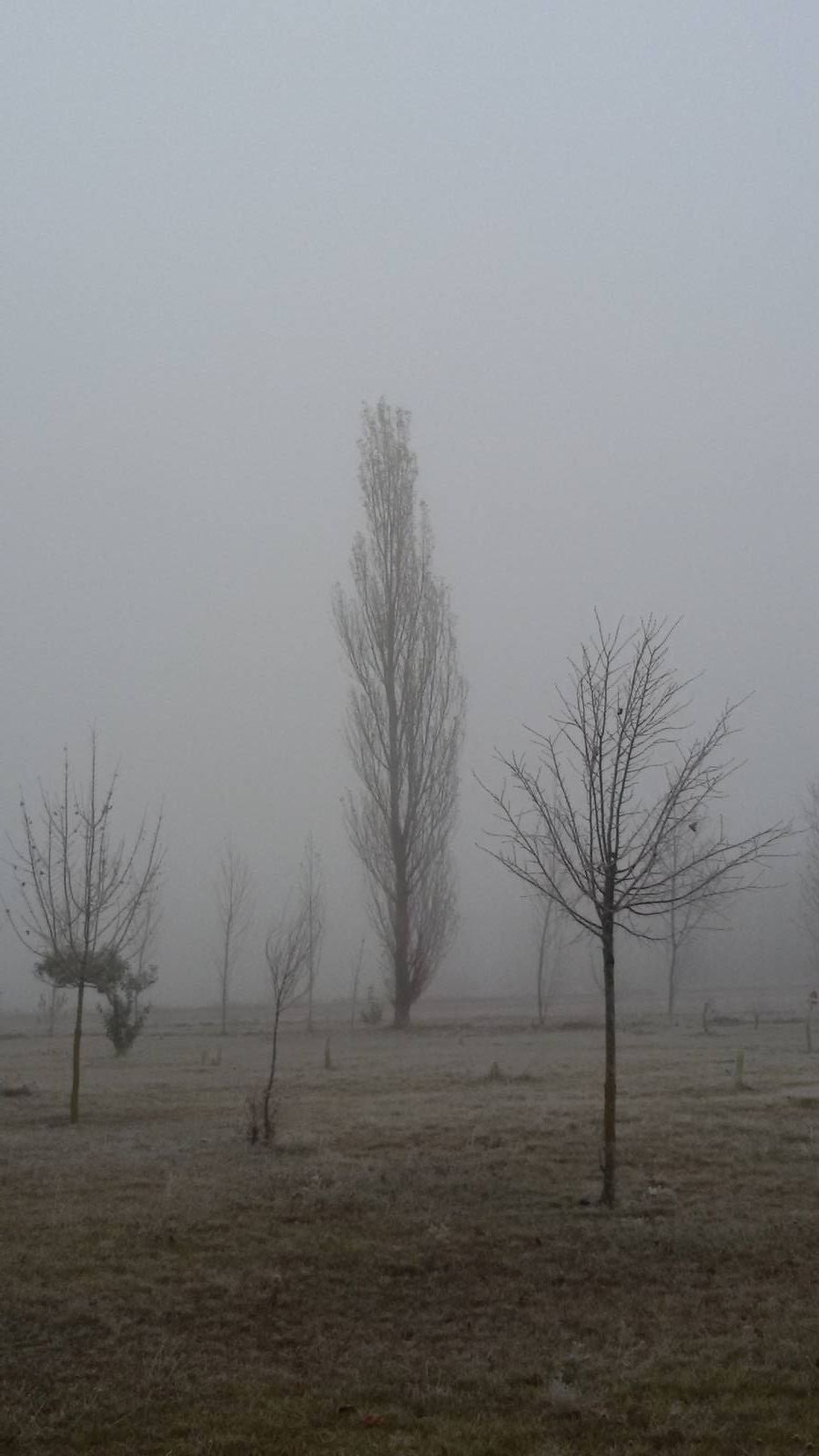 Niebla en Aguilar de Campoo