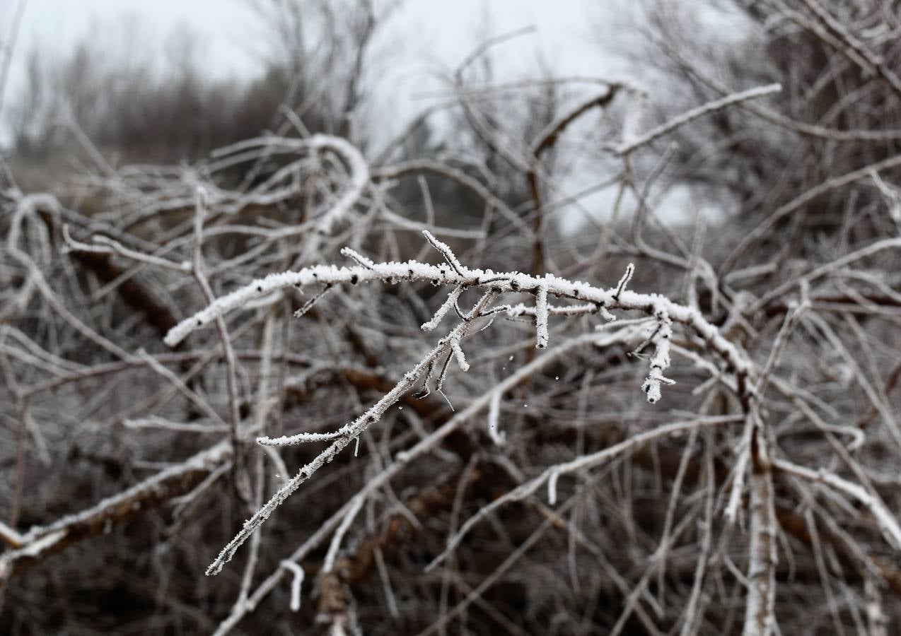 Niebla en Aguilar de Campoo