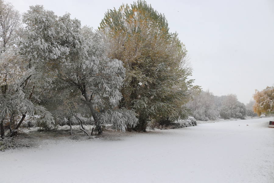 Las mejores imágenes de la nevada