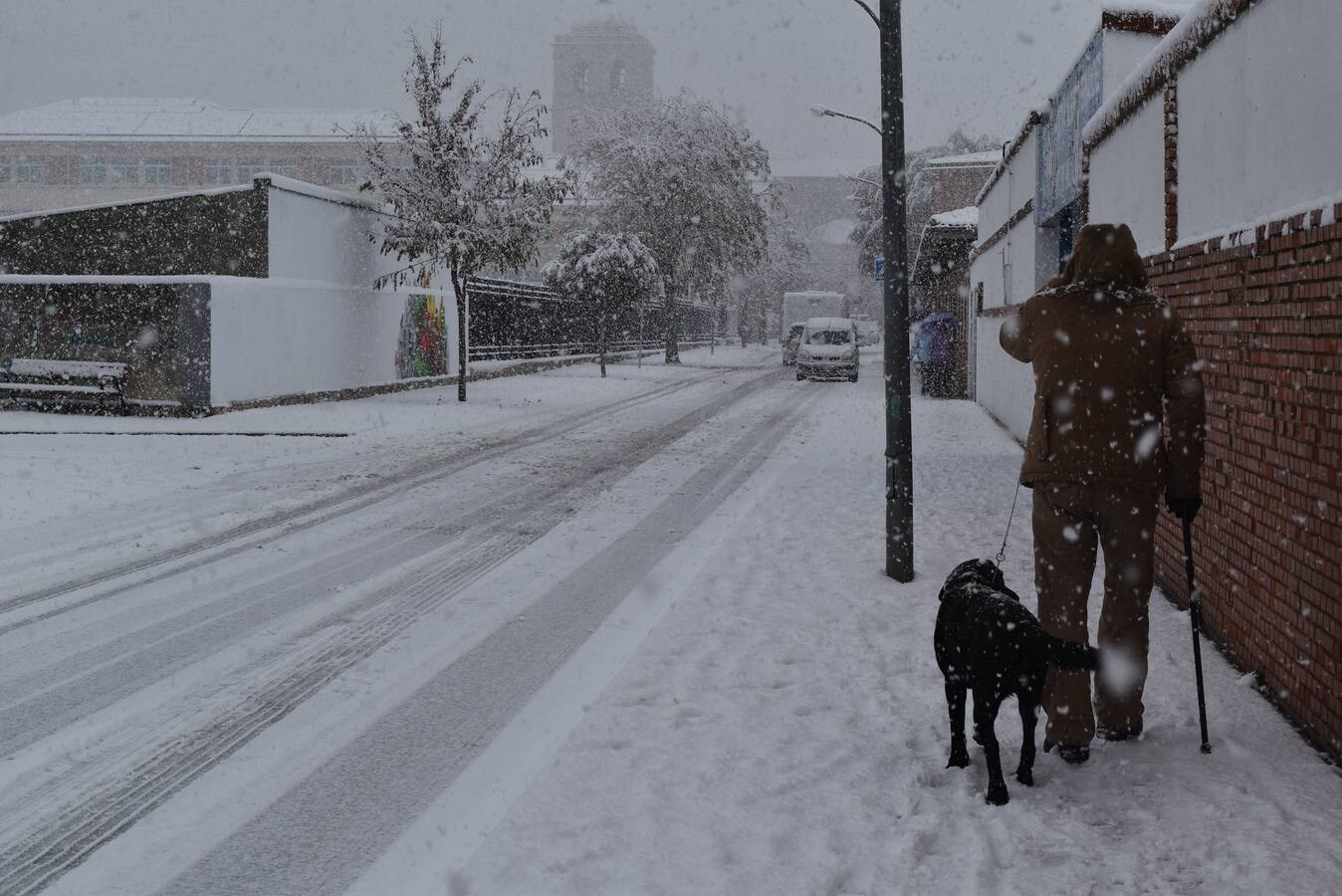 Nieve en Aguilar de Campoo