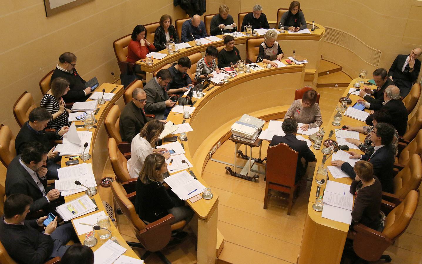 Pleno en el Ayuntamiento de Segovia