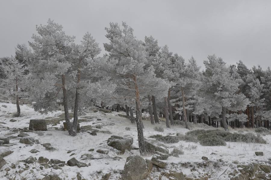Nieve en el Puerto del Alto de León