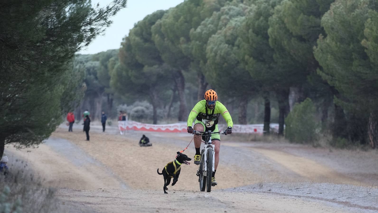 Campeonato de España de Mushing en Valladolid