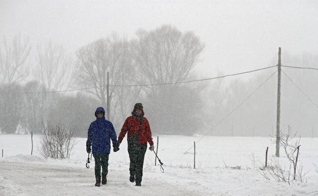 Nieve cerca de Rodiezmo (León).