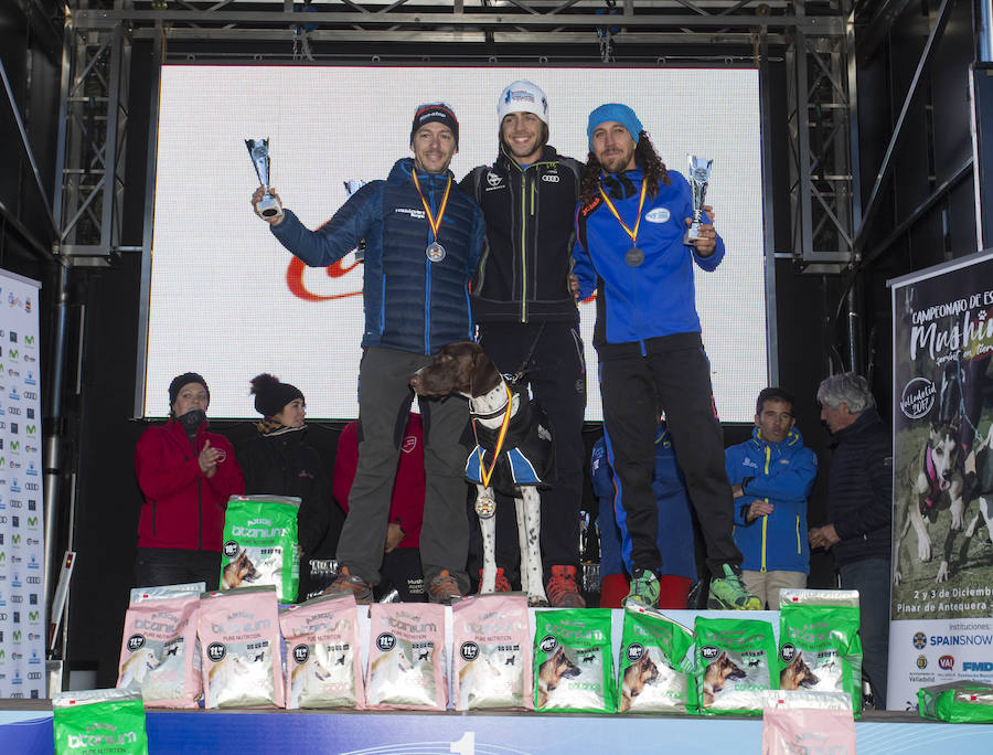 Celebrada parte del Campeonato de España de Mushing Sprint de Tierra. Entre los campeones destaca la victoria del vallisoletano Pablo Enjuto, en bikejoring un perro, o DBM.