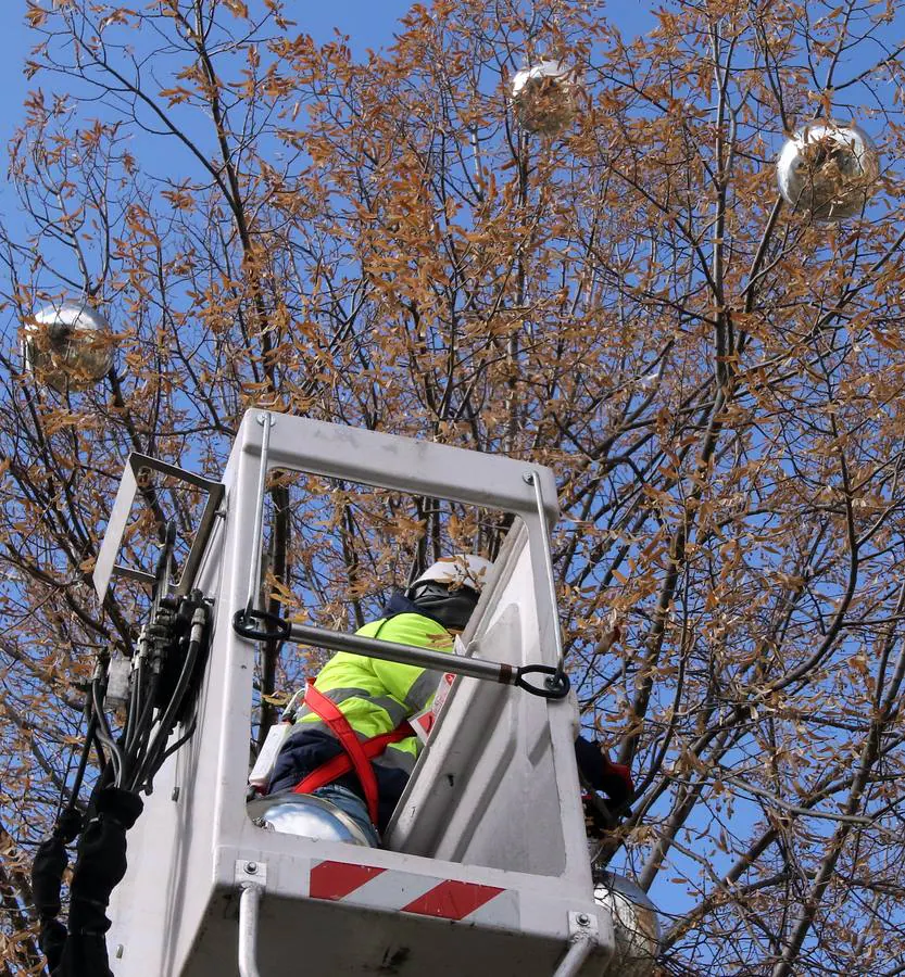 Día de las personas con capacidades diferentes en Segovia