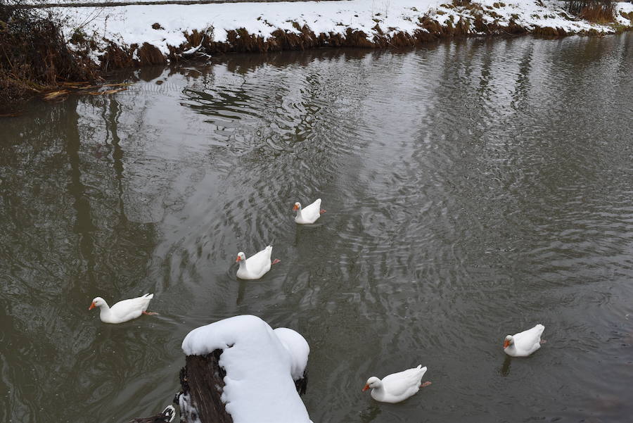 Nieve en Aguilar de Campoo