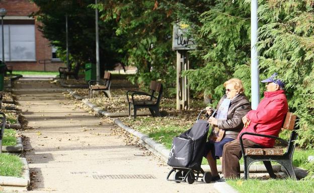 Una pareja de jubilados en el parque.