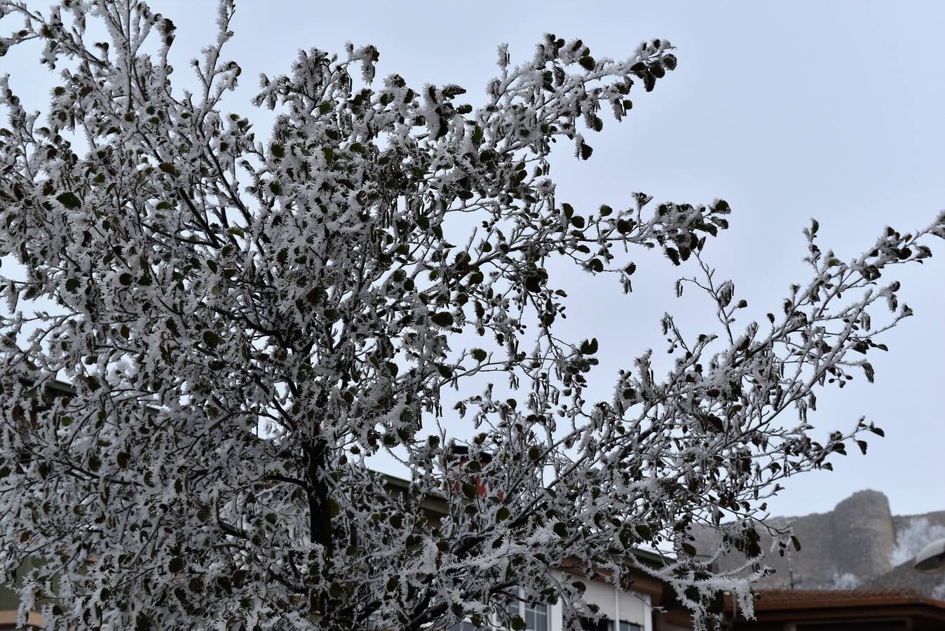 La nieve y el hielo perduran en Aguilar de Campoo