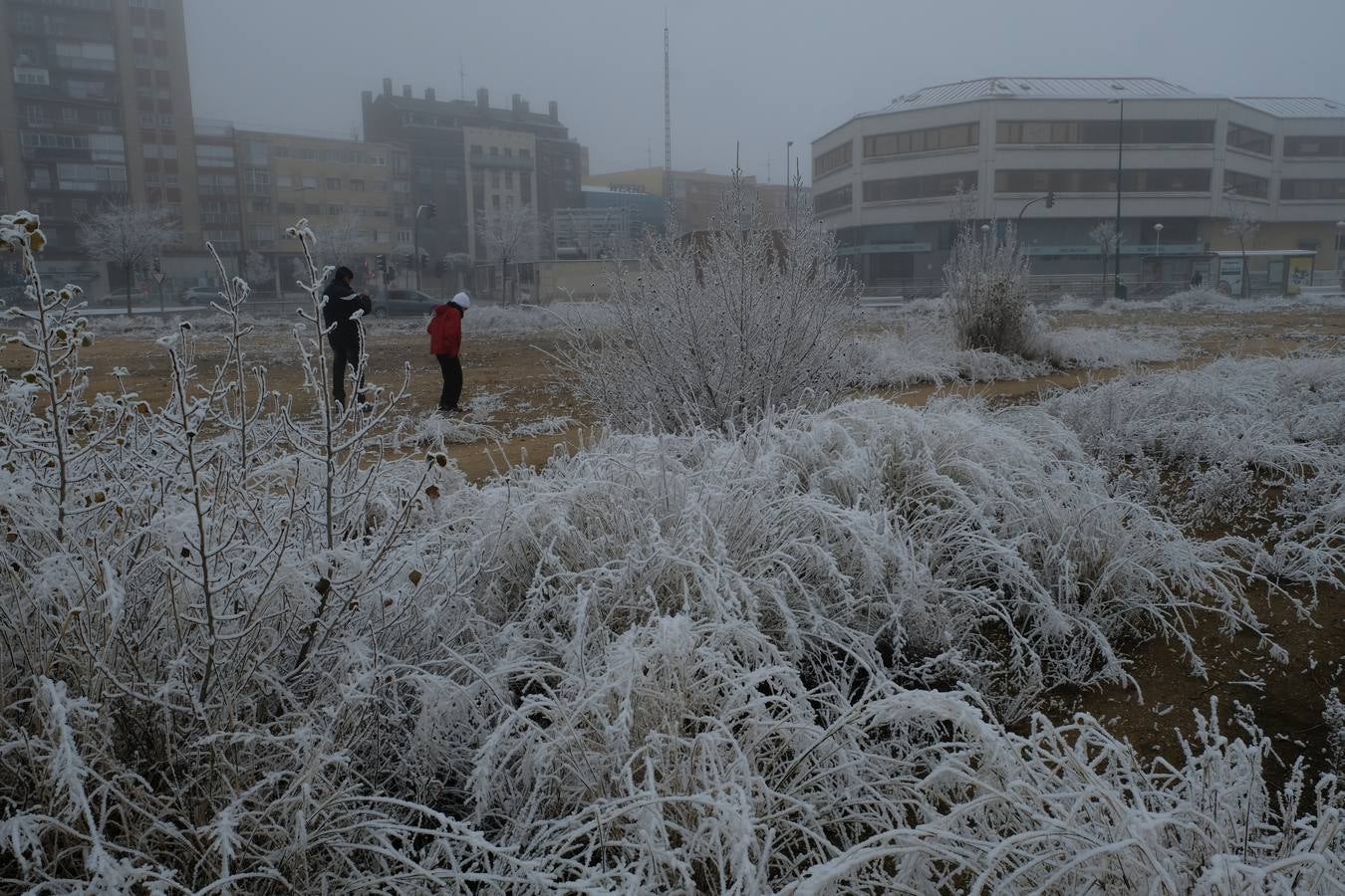 Aunque muchos han podido pensar que es nieve, en realidad es la propia niebla que, por las bajas temperaturas, se ha convertido en hielo, depositándose en árboles, coches y estructuras urbanas