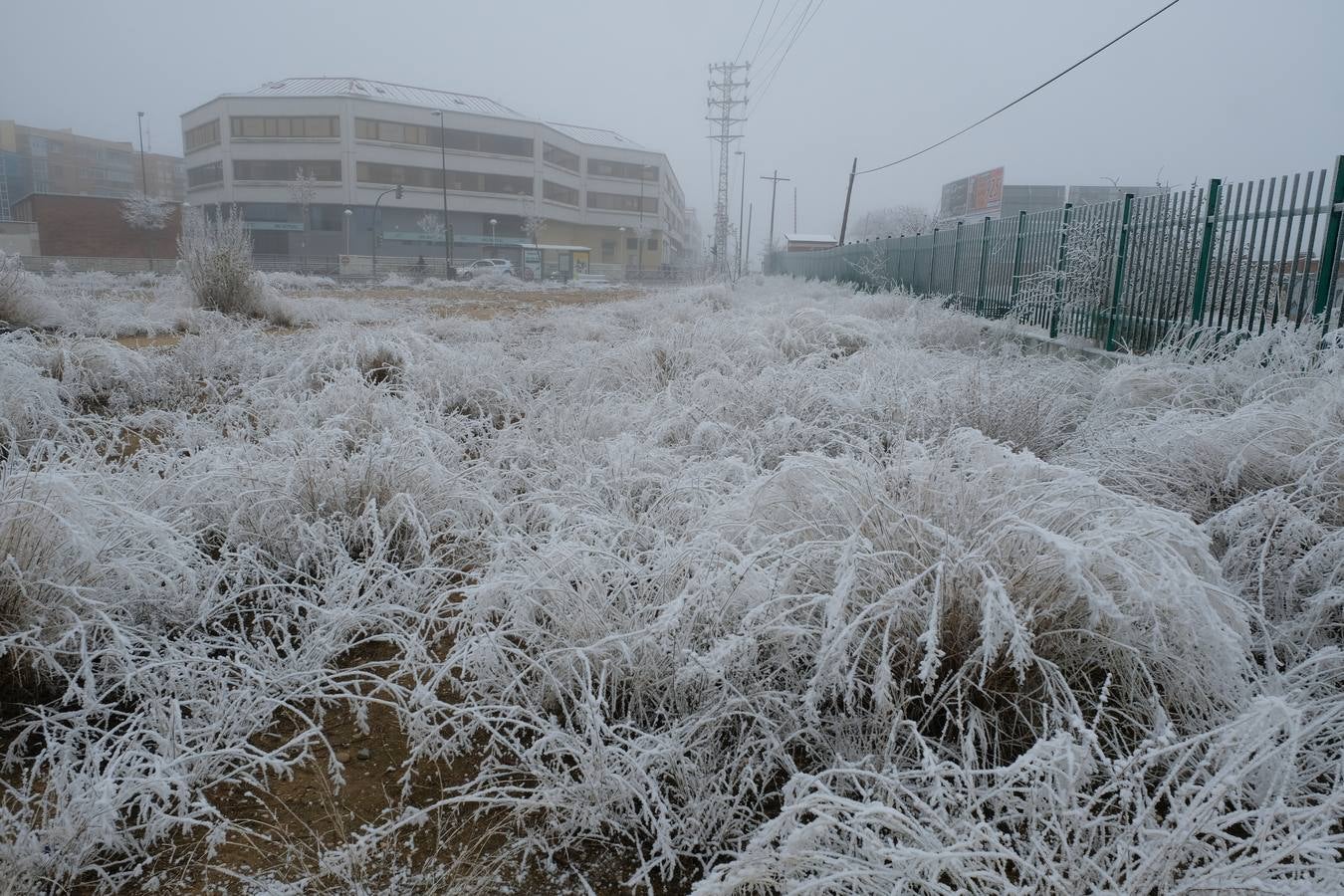 Aunque muchos han podido pensar que es nieve, en realidad es la propia niebla que, por las bajas temperaturas, se ha convertido en hielo, depositándose en árboles, coches y estructuras urbanas