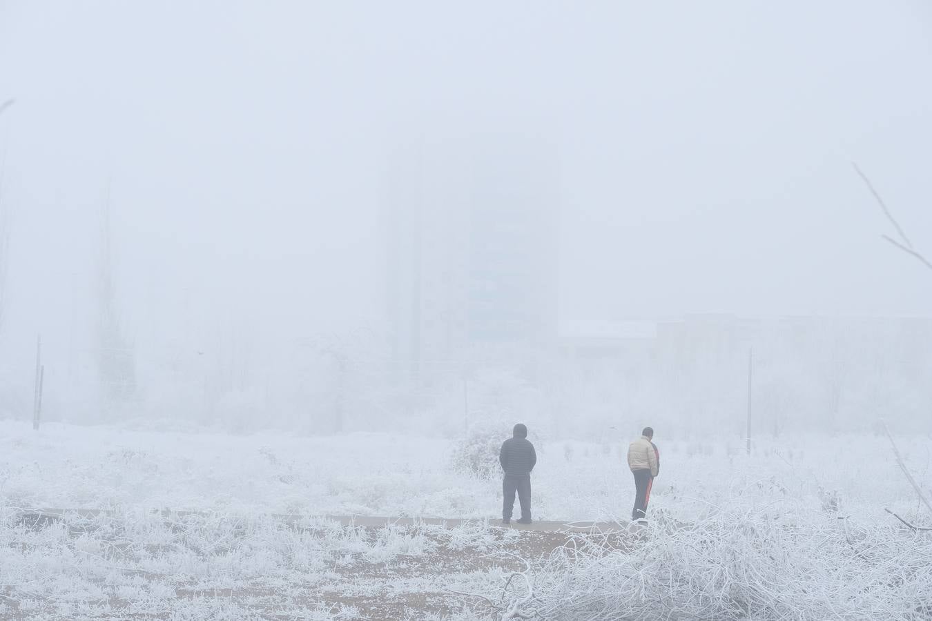 Aunque muchos han podido pensar que es nieve, en realidad es la propia niebla que, por las bajas temperaturas, se ha convertido en hielo, depositándose en árboles, coches y estructuras urbanas