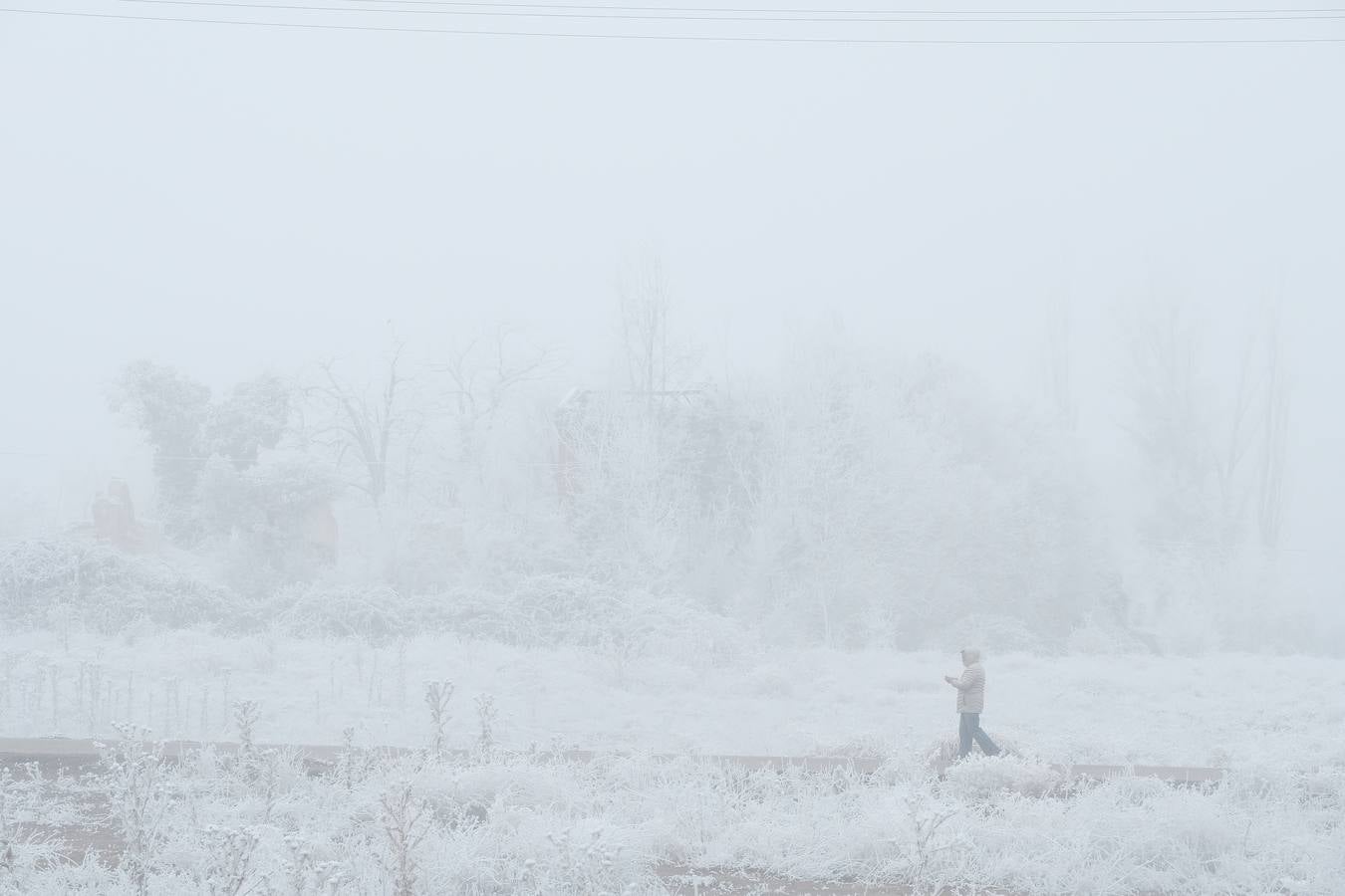Aunque muchos han podido pensar que es nieve, en realidad es la propia niebla que, por las bajas temperaturas, se ha convertido en hielo, depositándose en árboles, coches y estructuras urbanas