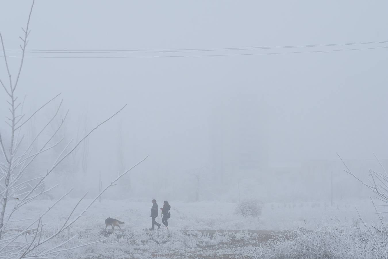 Aunque muchos han podido pensar que es nieve, en realidad es la propia niebla que, por las bajas temperaturas, se ha convertido en hielo, depositándose en árboles, coches y estructuras urbanas