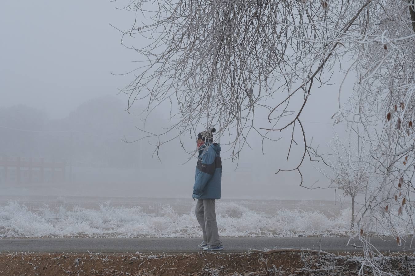 Aunque muchos han podido pensar que es nieve, en realidad es la propia niebla que, por las bajas temperaturas, se ha convertido en hielo, depositándose en árboles, coches y estructuras urbanas