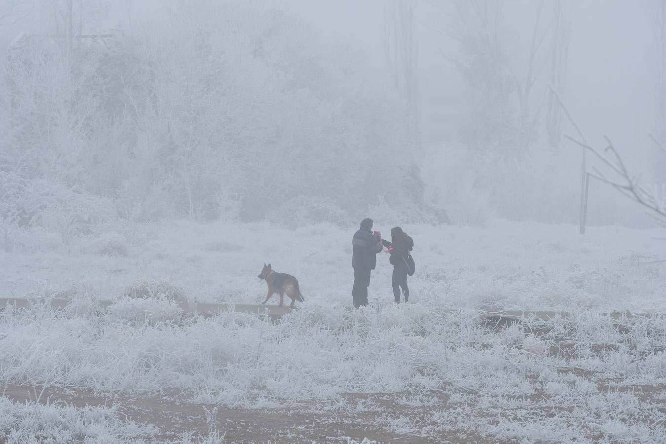 Aunque muchos han podido pensar que es nieve, en realidad es la propia niebla que, por las bajas temperaturas, se ha convertido en hielo, depositándose en árboles, coches y estructuras urbanas