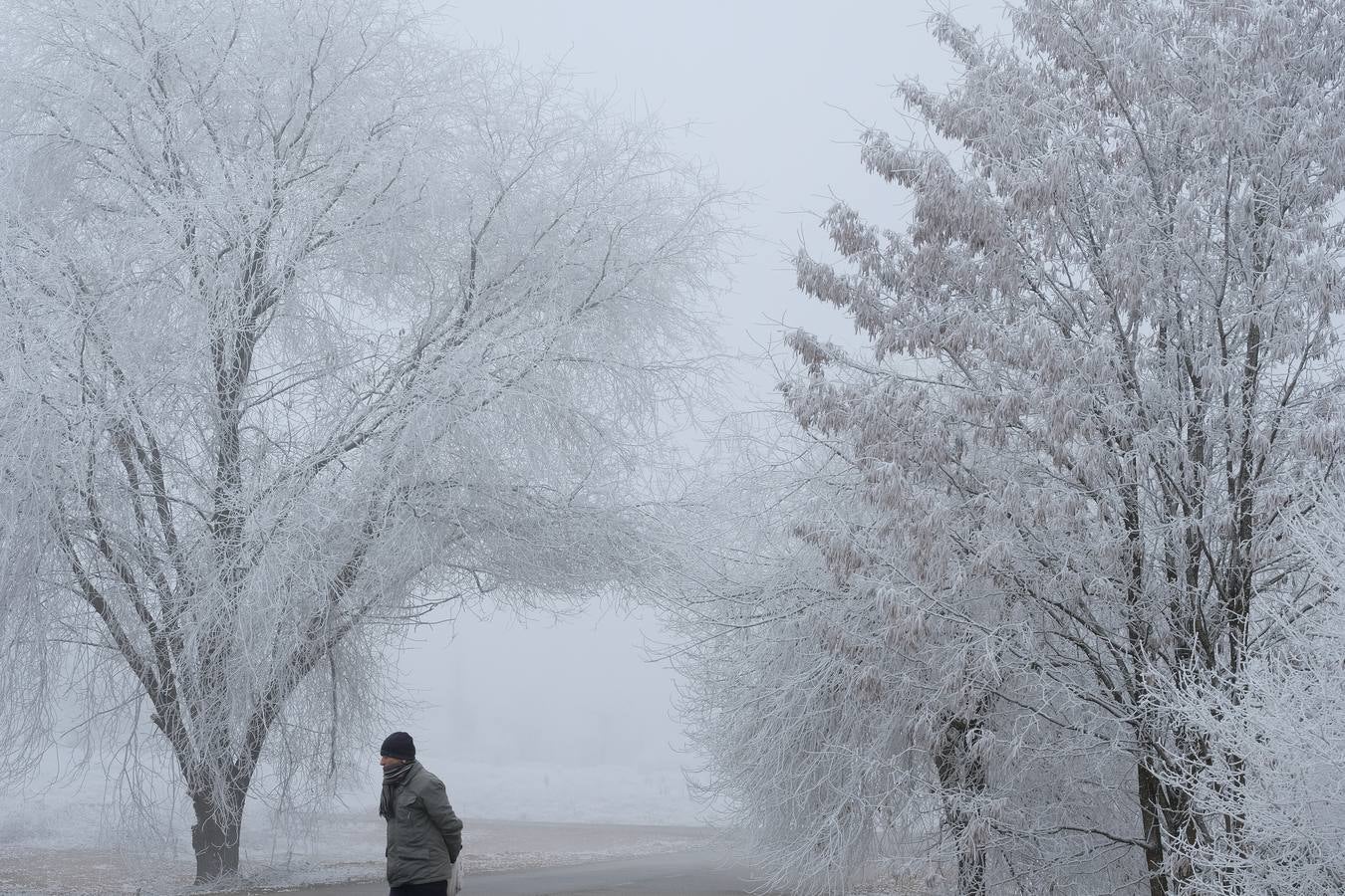 Aunque muchos han podido pensar que es nieve, en realidad es la propia niebla que, por las bajas temperaturas, se ha convertido en hielo, depositándose en árboles, coches y estructuras urbanas