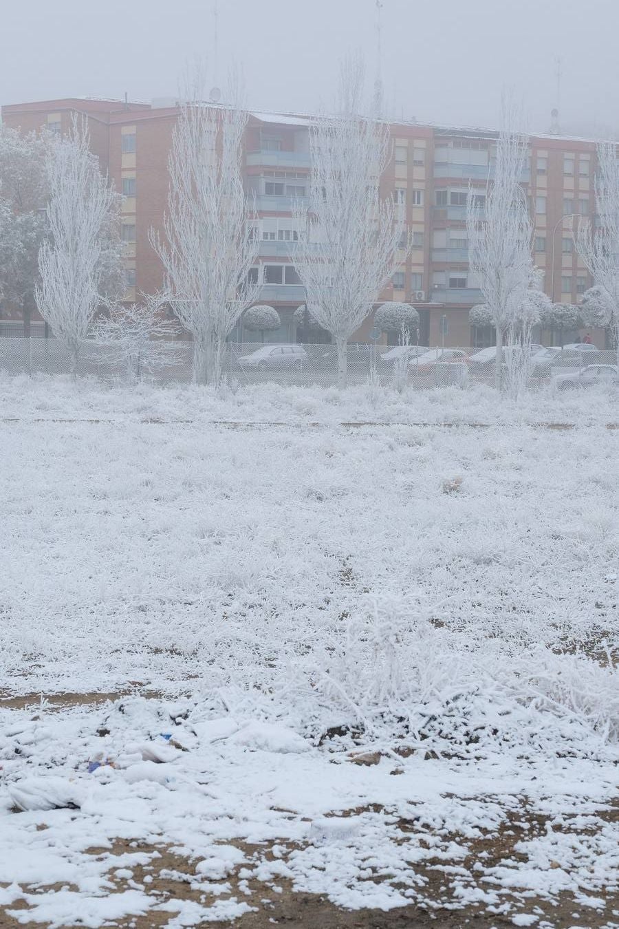 Aunque muchos han podido pensar que es nieve, en realidad es la propia niebla que, por las bajas temperaturas, se ha convertido en hielo, depositándose en árboles, coches y estructuras urbanas