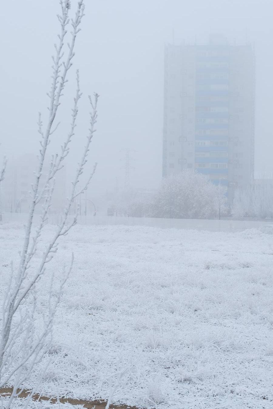 Aunque muchos han podido pensar que es nieve, en realidad es la propia niebla que, por las bajas temperaturas, se ha convertido en hielo, depositándose en árboles, coches y estructuras urbanas