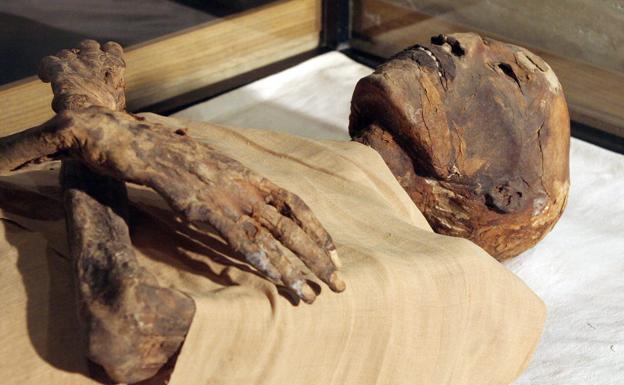 Descubren el caso más antiguo de cáncer en una momia