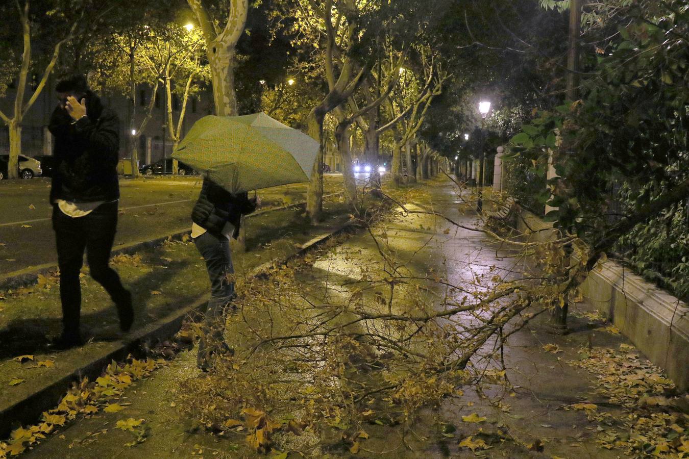 Los bomberos retiraron cascotes, ramas, vallas y luces de Navidad tras los fuertes vientos