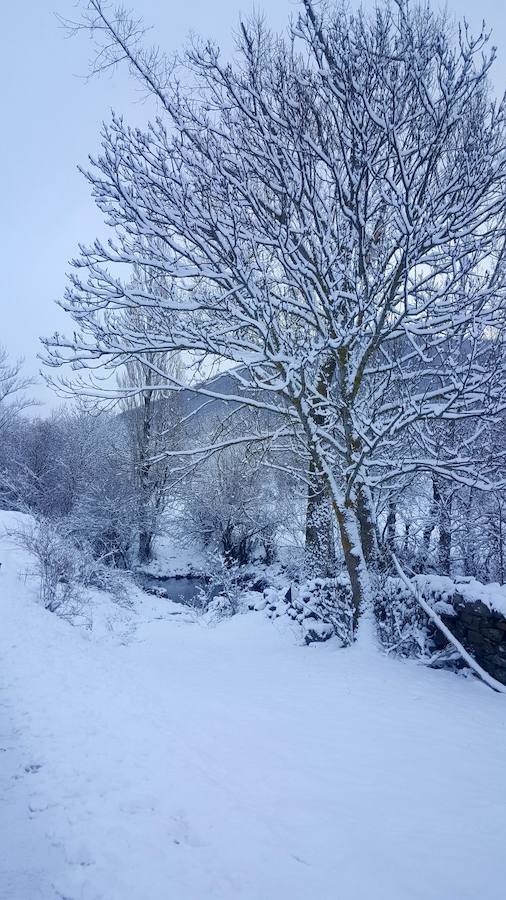 La nieve cubre La Pernía