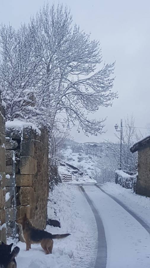 La nieve llega de nuevo a la Montaña Palentina