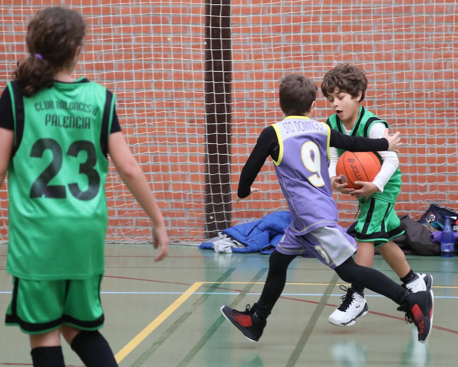 Torneo de baloncesto base