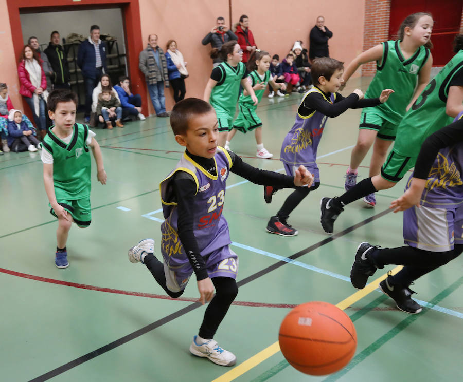 Torneo de baloncesto base