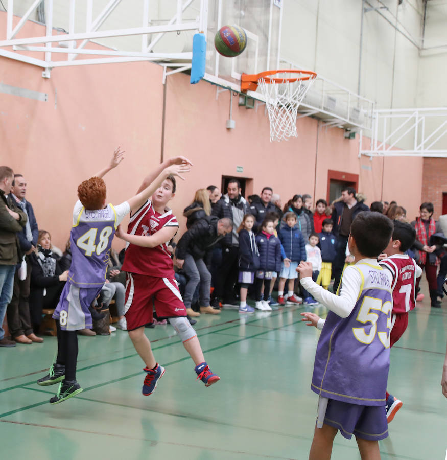 Torneo de baloncesto base