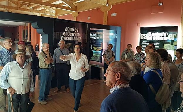 Visita al Museo del Cerrato.