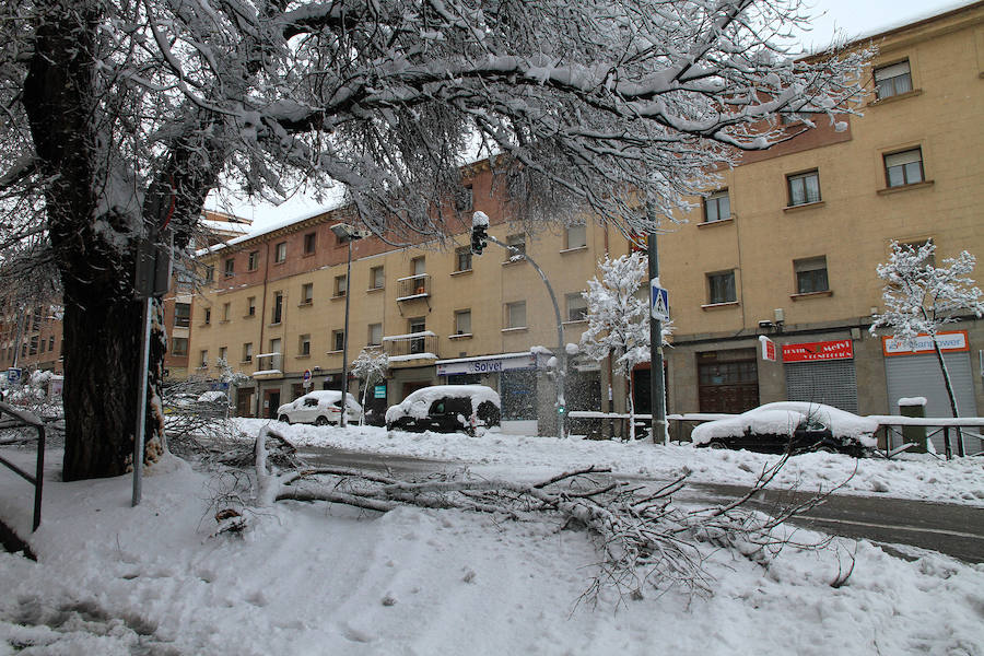 Segovia y provincia han protagonizado la actualidad del temporal del fin de semana. La nieve colapsó sus carreteras y puso un manto blanco en la capital, que muchos aprovecharon para ver el lado positivo y esquiar junto al Acueducto. Pese a la belleza de las imágenes, la nieve complicó la vida de sus ciudadanos.