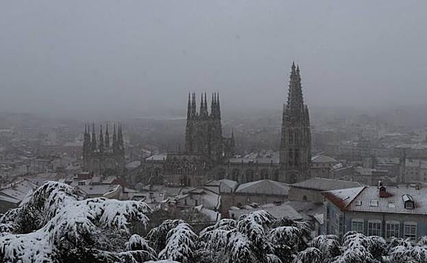 La nieve y las rachas de viento han derribado algunos árboles en Burgos