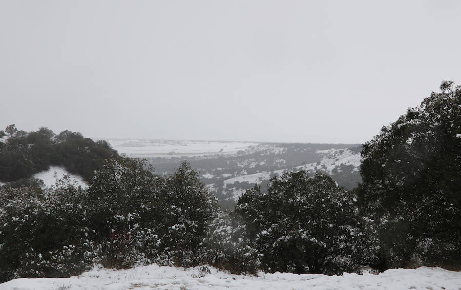Nieve en Palencia