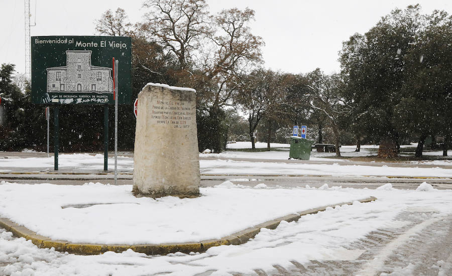 Nieve en Palencia