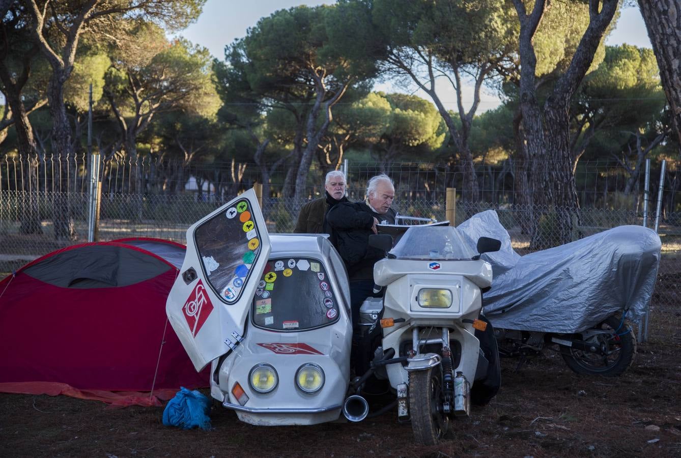 Llegan los primeros Pingüinos a la zona de acampada