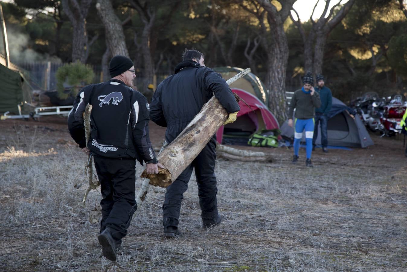 Llegan los primeros Pingüinos a la zona de acampada