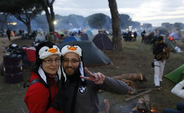 Una pareja de pingüinos saluda en el Pinar.