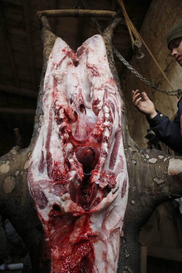 Matanza tradicional en Castromocho