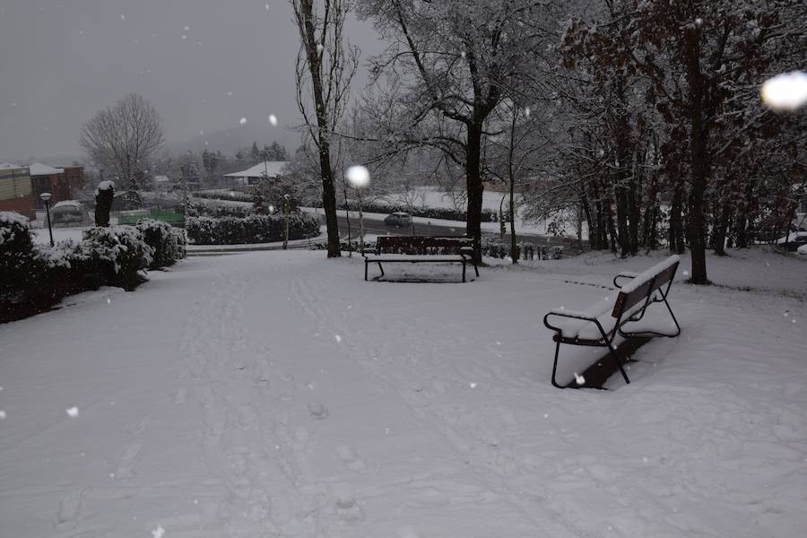 Nieva en Guardo