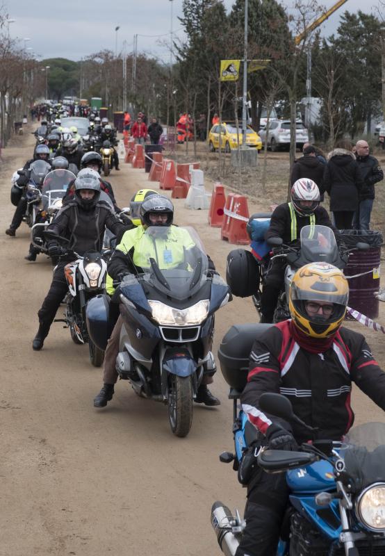 Despedida Pingüinos 2018