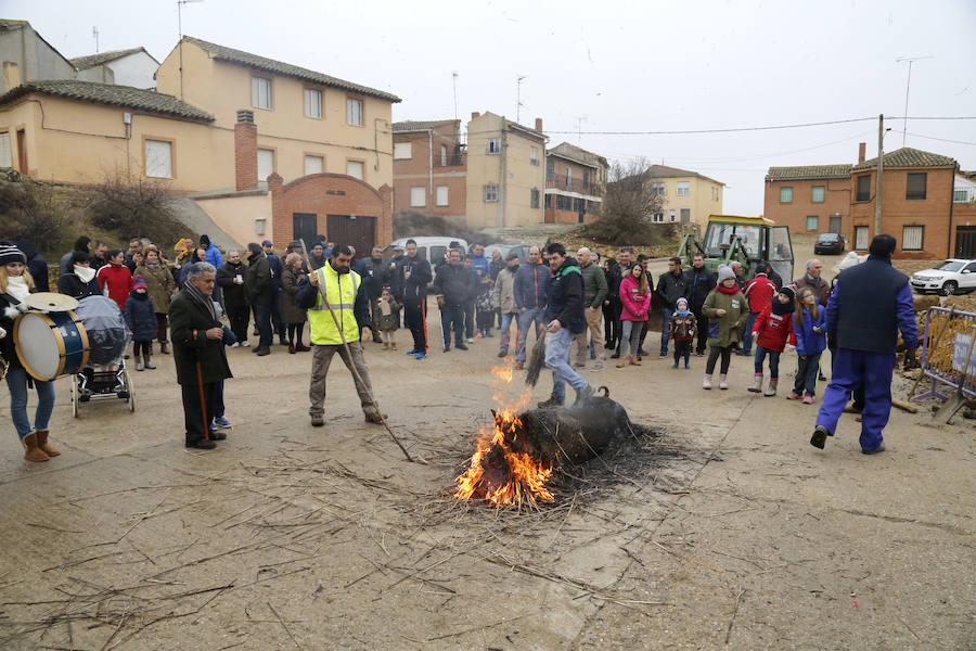 Matanza tradicional en Fuentes de Nava