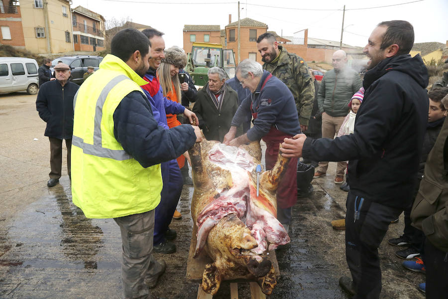Matanza tradicional en Fuentes de Nava