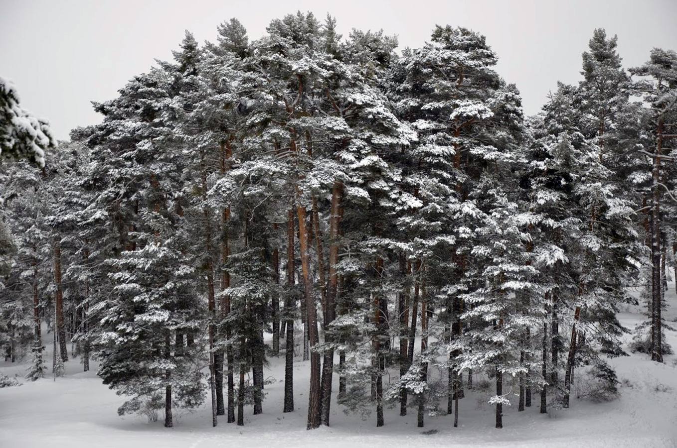 Nieve en San Rafael (Segovia)