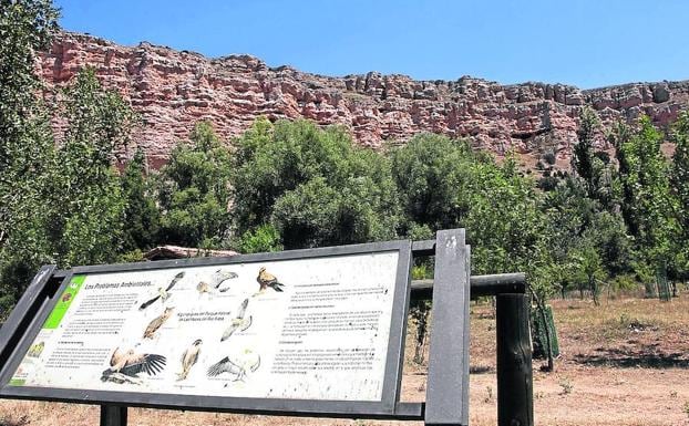 Rafugio de Rapaces de Montejo de la Vega de la Serrezuela, en el Parque Natural Hoces del Riaza. 